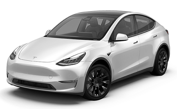 TESLA MODEL Y Performance